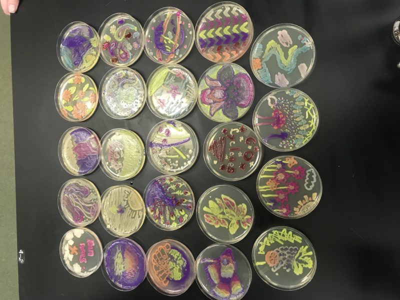 Agar Art Results Array