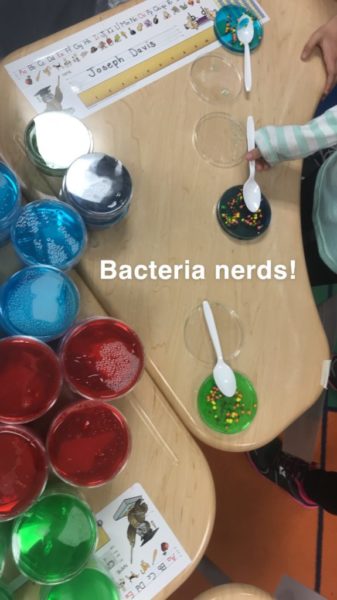 Bacteria Nerds